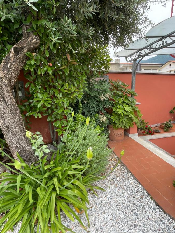 In Versilia Seravezza Buitenkant foto